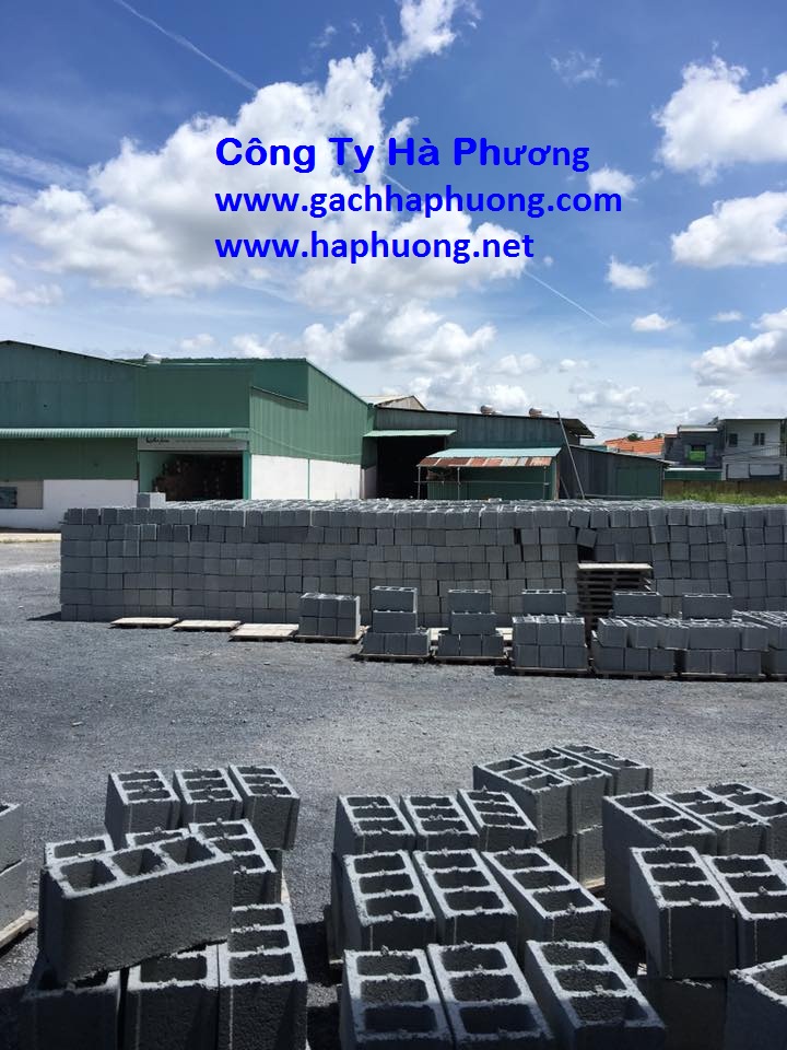gachhaphuong.com (27)